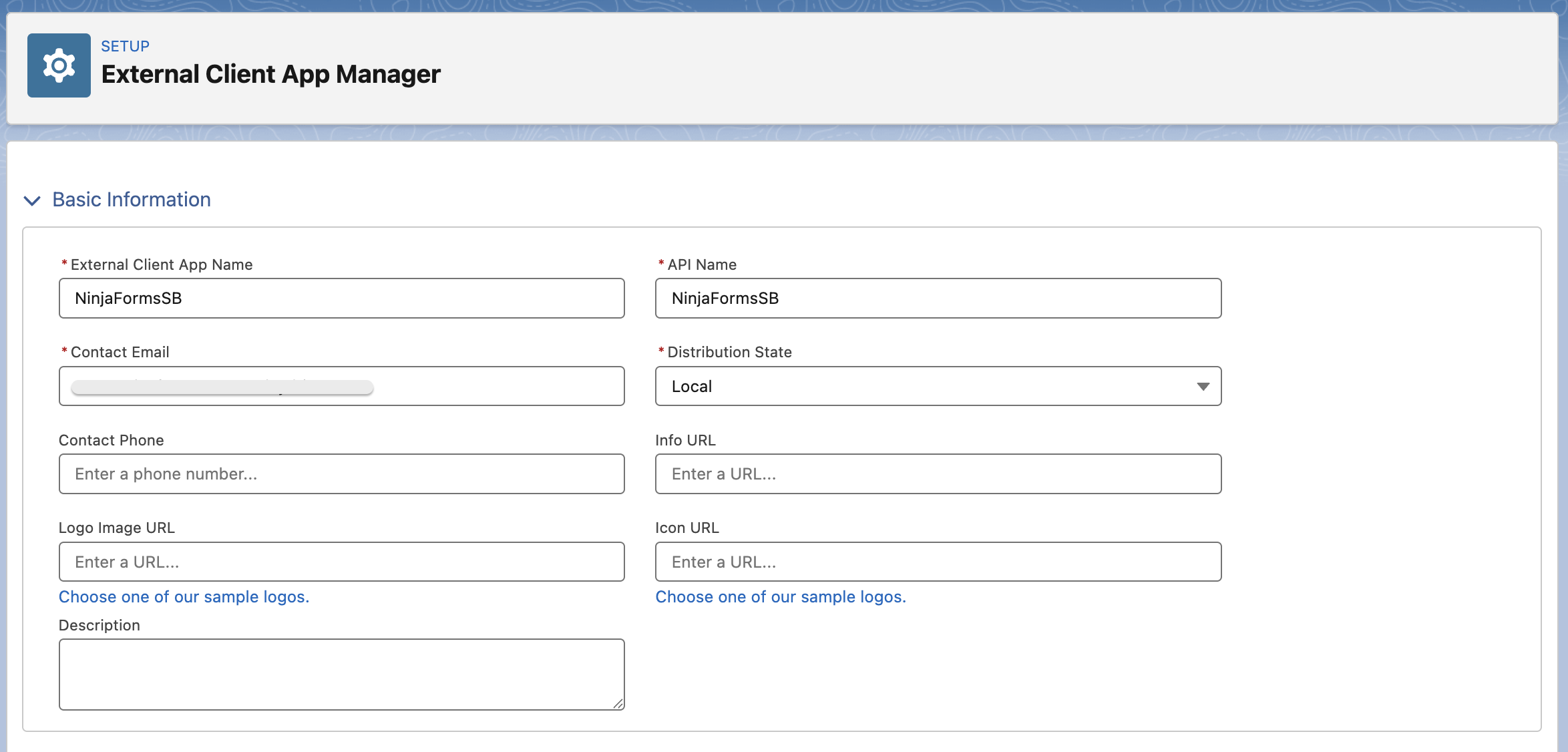 Salesforce - External Client App Name