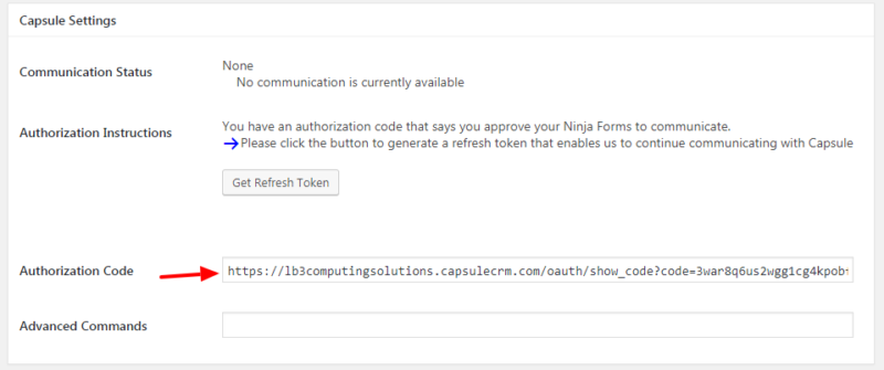 Pasted authorization code from Capsule CRM into Ninja Forms settings
