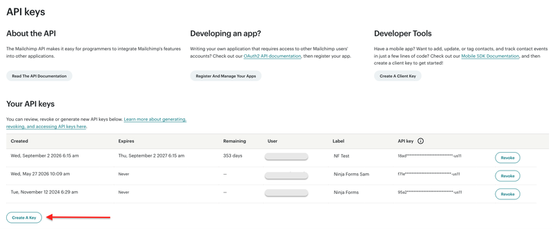 Generating a Mailchimp API key