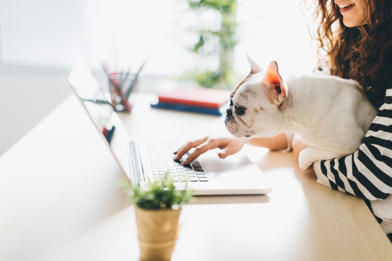 form actions in wordpress forms