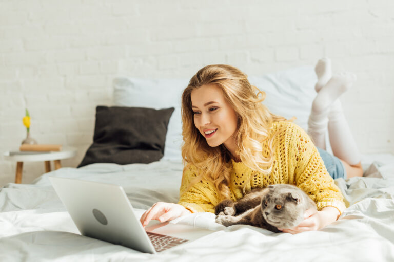 resend email notification in wordpress