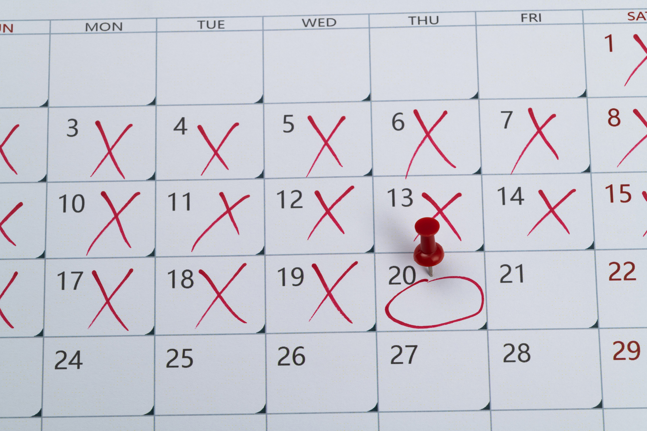 Block All Past Dates on WordPress Booking Form