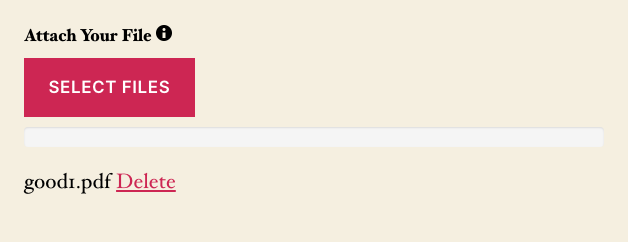 A Ninja Forms file upload field on the public form after a valid file was selected, showing the uploaded filename with its Delete link beneath the Select Files button.