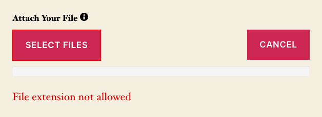 A Ninja Forms file upload field showing the client-side rejection message after a visitor selected a file with a disallowed extension.