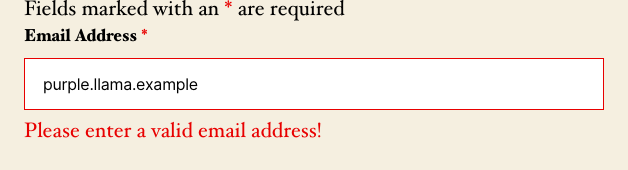 Ninja Forms Email field on a public newsletter signup form showing the live validation error 'Please enter a valid email address!' after an incorrectly formatted address was entered.