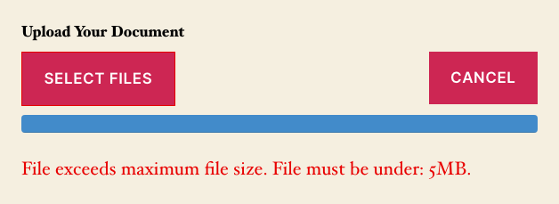 Ninja Forms frontend File Upload field displaying a 'File exceeds maximum file size. File must be under: 5MB' error after an oversized file was selected.