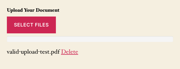 Ninja Forms frontend File Upload field showing a successfully attached PDF file with no error present.