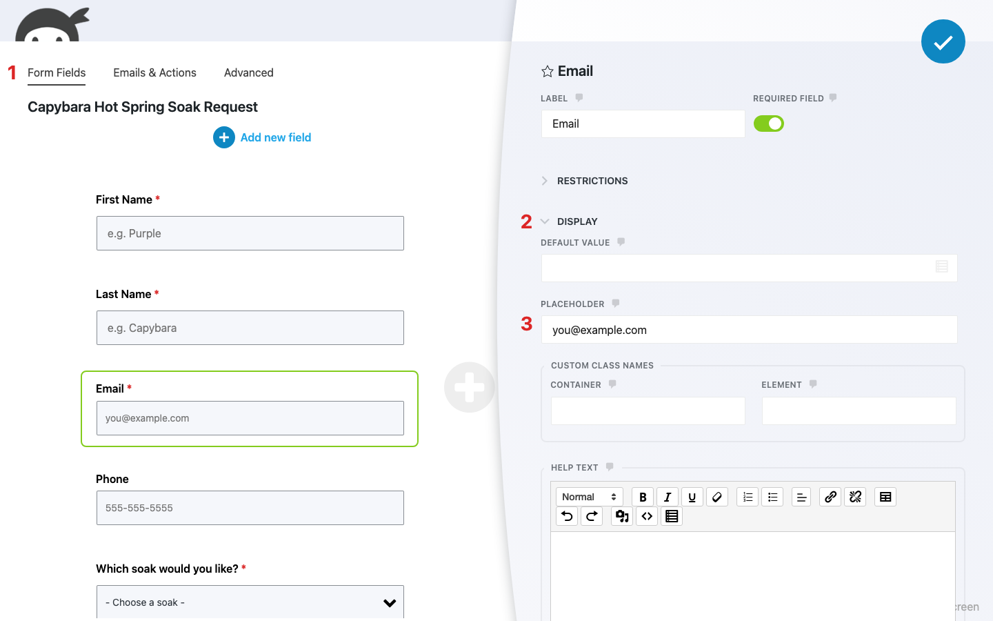 Ninja Forms builder with the Email field's settings window open and the Display settings accordion expanded, showing the Default Value and Placeholder settings.