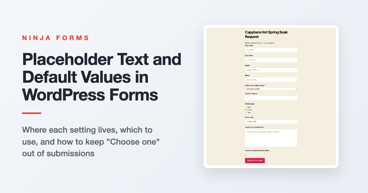 A WordPress form with grey placeholder text in the name and email fields and a dropdown showing a Choose one prompt