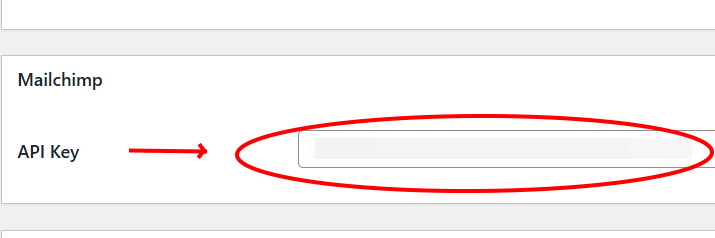 Ninja Forms settings page with Mailchimp API key field