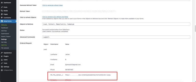 Salesforce Lead record showing a file attachment link sent from a Ninja Forms submission