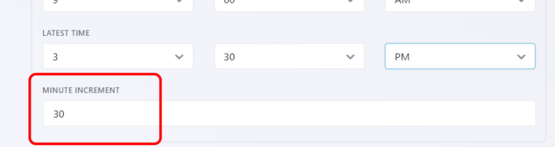 Time interval setting in Advanced Datepicker field options showing custom increment input